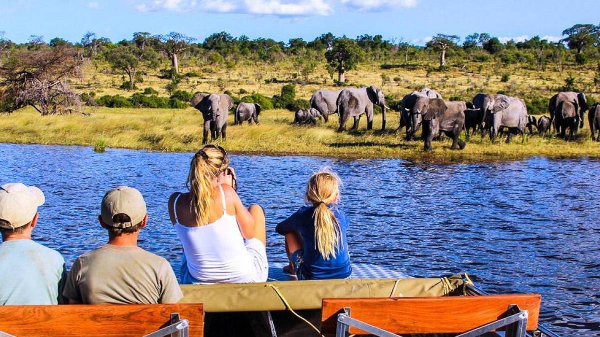 Bootsfahrt auf dem Chobe-River | © Gondwana Collection / Chamäleon Bootsfahrt auf dem Chobe-River | © Gondwana Collection / Chamäleon