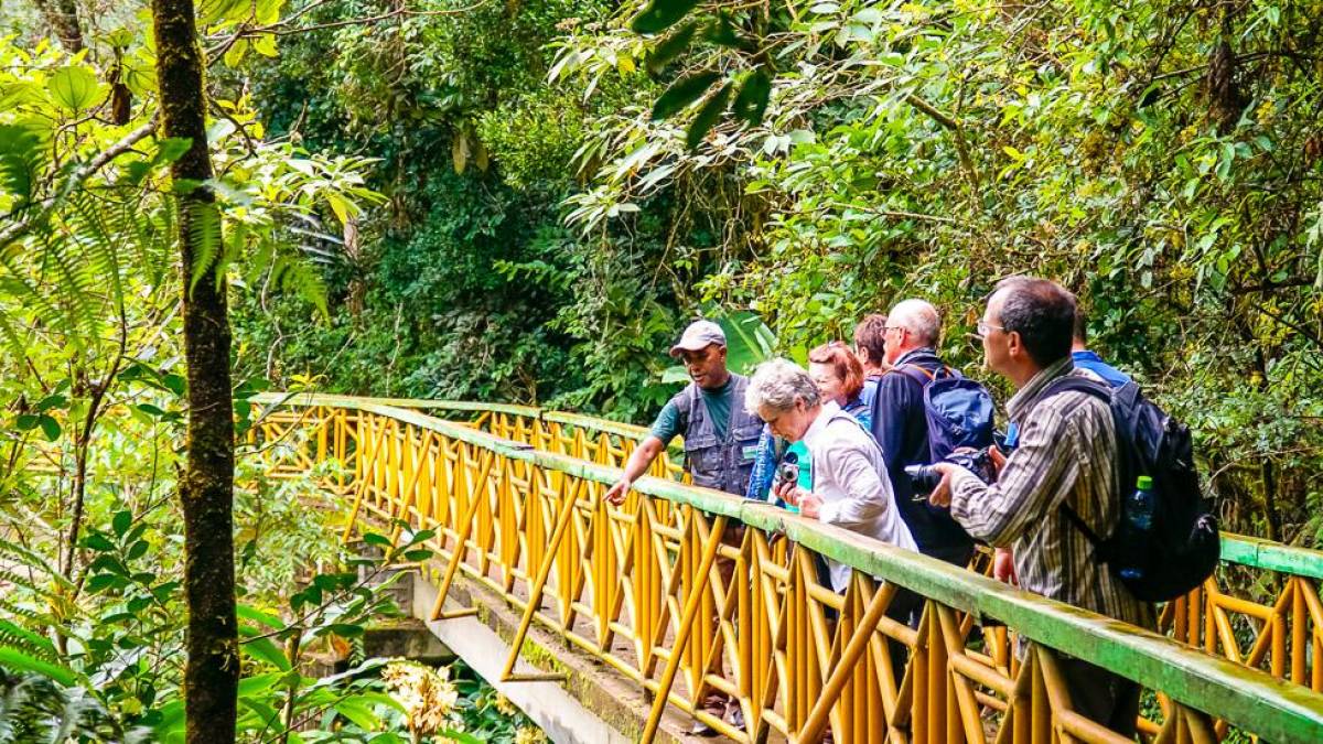 Im Ranomafana-Nationalpark | © Anne Wiborg / Chamäleon Im Ranomafana-Nationalpark | © Anne Wiborg / Chamäleon