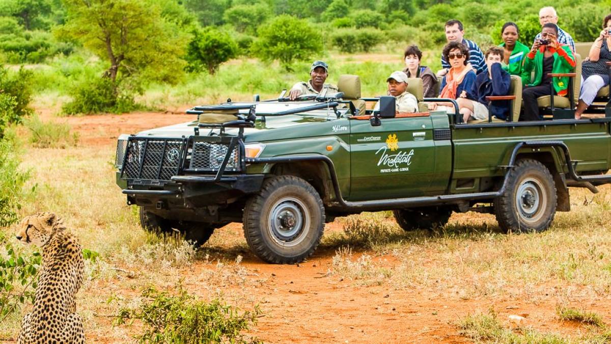 Reisegruppe beobachtet einen Geparden | © Ann & Steve Toon, Makalali Lodge / Chamäleon Reisegruppe beobachtet einen Geparden | © Ann & Steve Toon, Makalali Lodge / Chamäleon