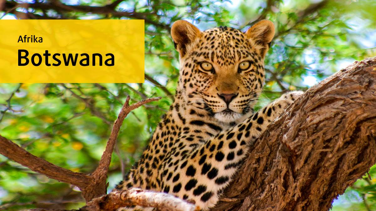 Botswana Trailer Eigenproduktion 2018 Botswana Trailer Eigenproduktion 2018