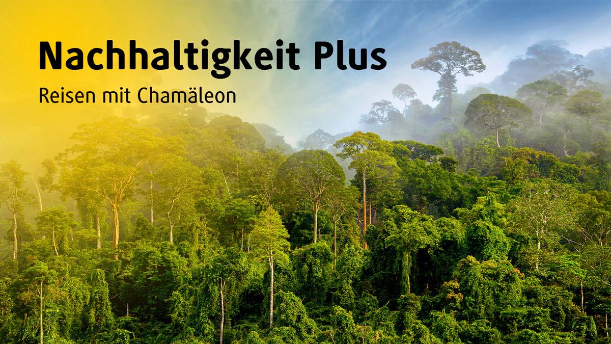 Nachhaltigkeit Plus - Regenwald Nachhaltigkeit Plus - Regenwald
