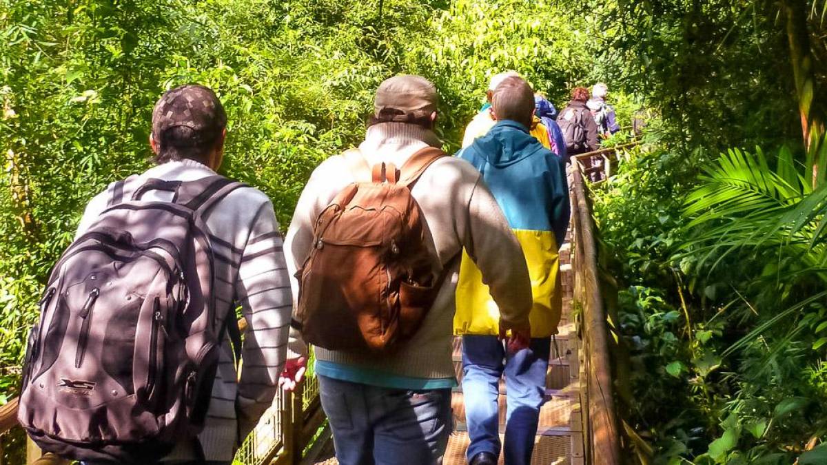 Zu Fuß durch den Regenwald | © Ideia Tours / Chamäleon Zu Fuß durch den Regenwald | © Ideia Tours / Chamäleon