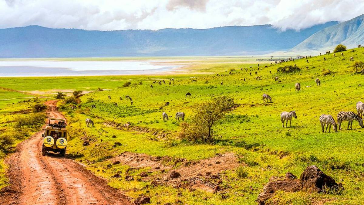 Safari im Ngorongoro-Krater | © Alexander Sass / Chamäleon Safari im Ngorongoro-Krater | © Alexander Sass / Chamäleon