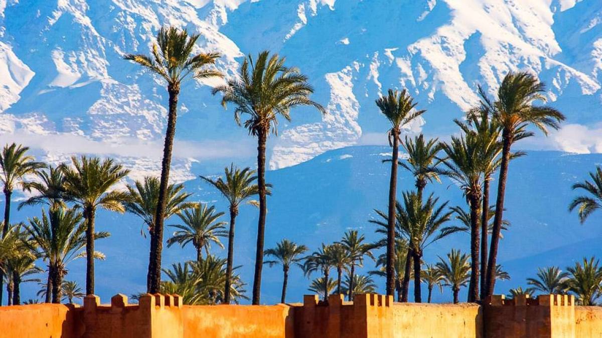 Palmen, Mauern und schneebedeckte Berge in Marrakesch | © fafou, iStockphoto.com / Chamäleon Palmen, Mauern und schneebedeckte Berge in Marrakesch | © fafou, iStockphoto.com / Chamäleon