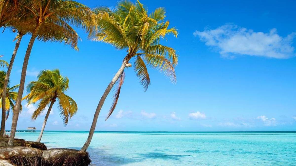 Tropischen Strand mit Palmen und türkisblauem Meer | © iStockphoto / Chamäleon Tropischen Strand mit Palmen und türkisblauem Meer | © iStockphoto / Chamäleon