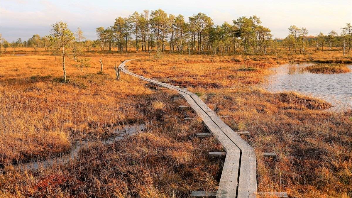 Estland: not your average bucket list destination Estland: not your average bucket list destination