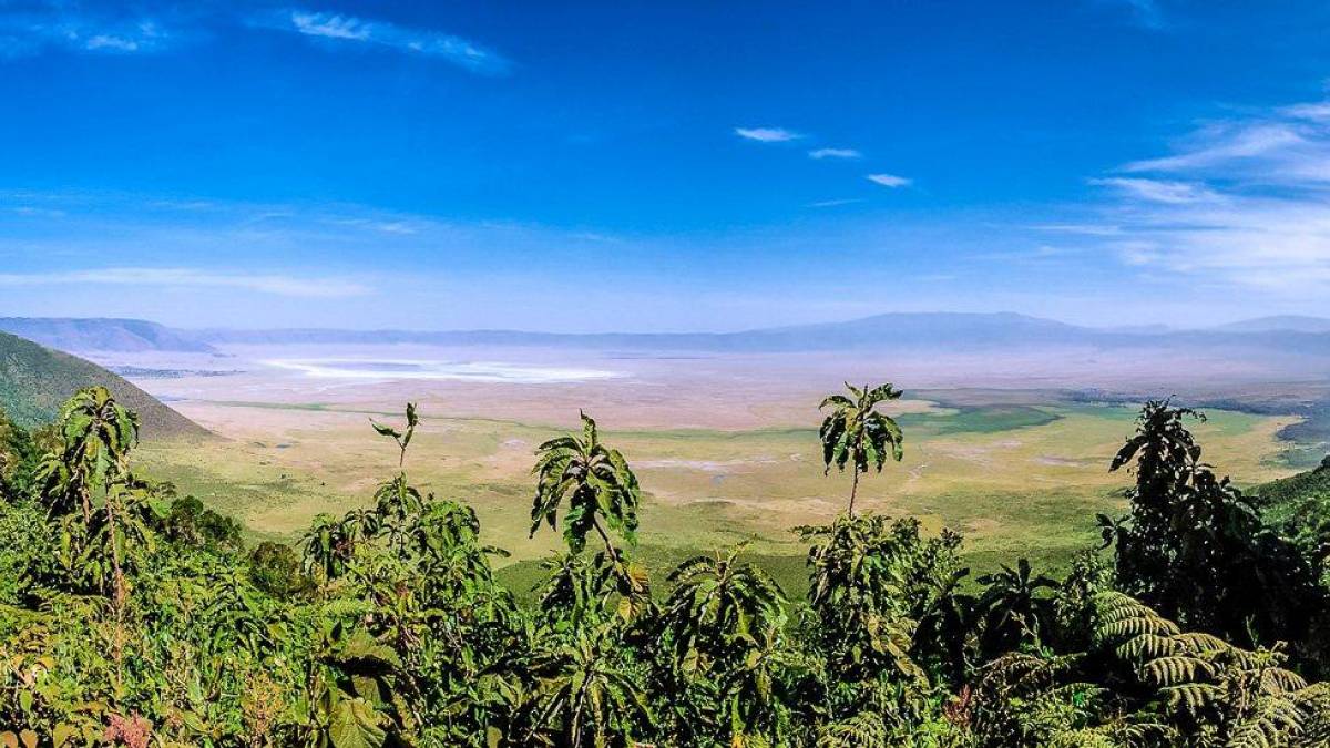 Vergessene Welt - der Ngorongoro-Krater | © Mike Lippke / Chamäleon Vergessene Welt - der Ngorongoro-Krater | © Mike Lippke / Chamäleon