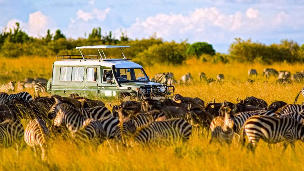 Safari-Fahrzeug umgeben von Zebras und Gnus in der Masai Mara | © William Davies, iStockphoto.com / Chamäleon Safari-Fahrzeug umgeben von Zebras und Gnus in der Masai Mara | © William Davies, iStockphoto.com / Chamäleon