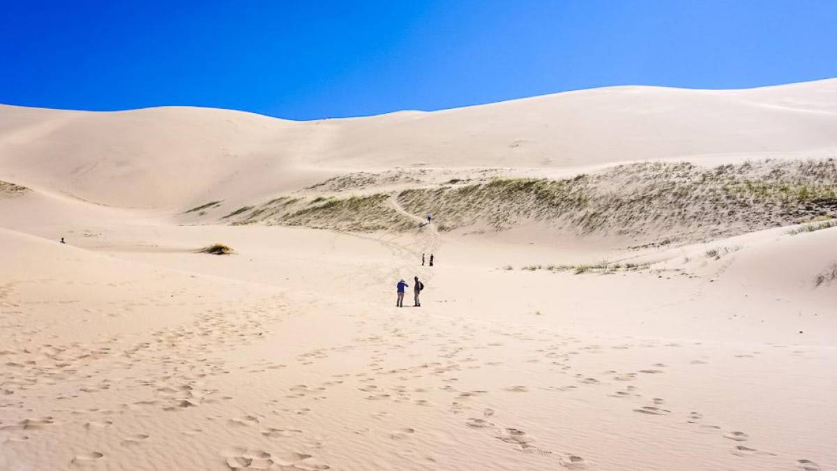 Die spektakulären Wanderdünen Chongorin Els | © Anne Davids / Chamäleon Die spektakulären Wanderdünen Chongorin Els | © Anne Davids / Chamäleon