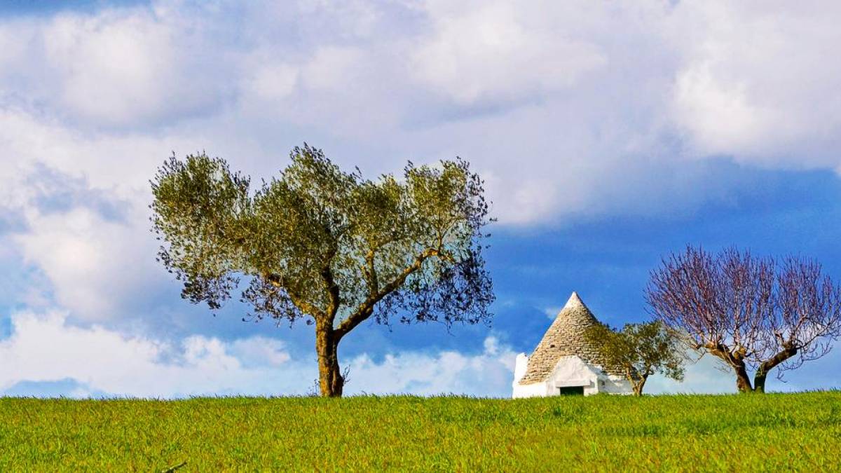 Ländliches Apulien | © laurabom, Pixabay / Chamäleon Ländliches Apulien | © laurabom, Pixabay / Chamäleon
