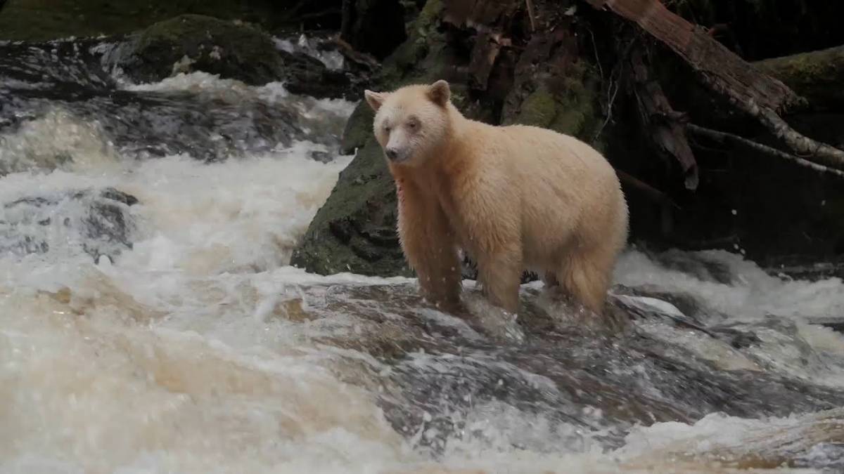 Kanada - Explore Canada - the best of the best of the best. Kanada - Explore Canada - the best of the best of the best.
