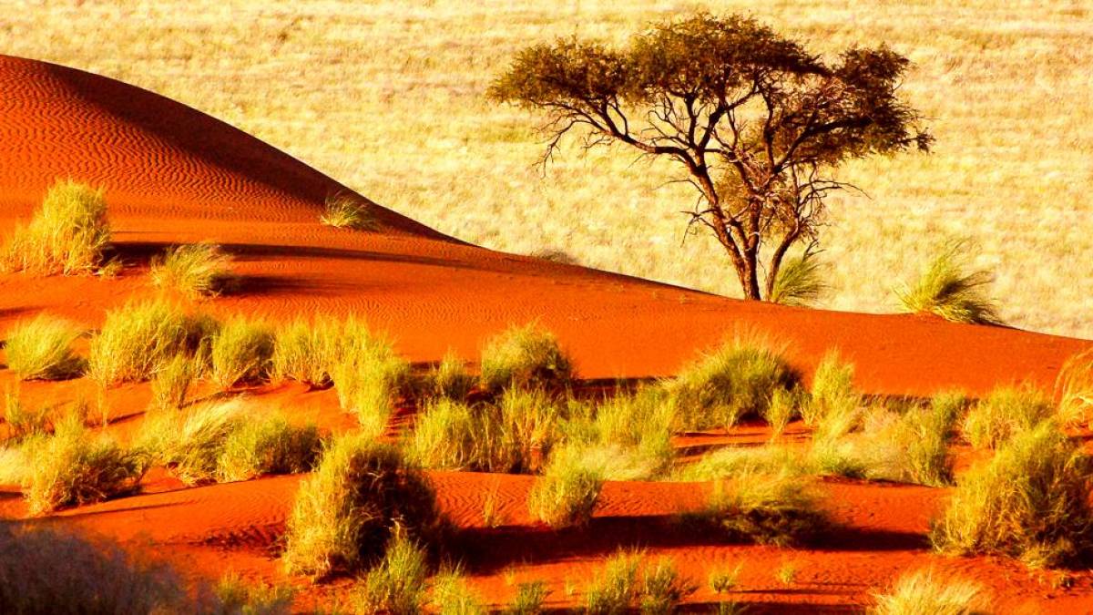 Rote Düne in der Kalahari | © Tobias Lehmann / Chamäleon Rote Düne in der Kalahari | © Tobias Lehmann / Chamäleon