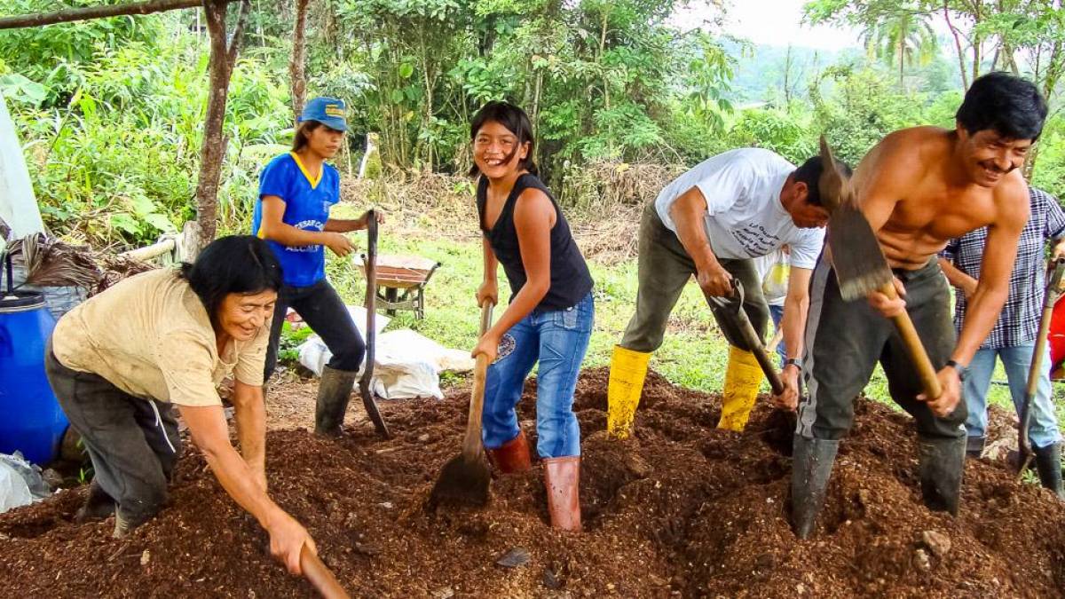 Gemeinschaftliches Arbeiten im Regenwaldprojekt Las Cascadas | © Chamäleon Gemeinschaftliches Arbeiten im Regenwaldprojekt Las Cascadas | © Chamäleon