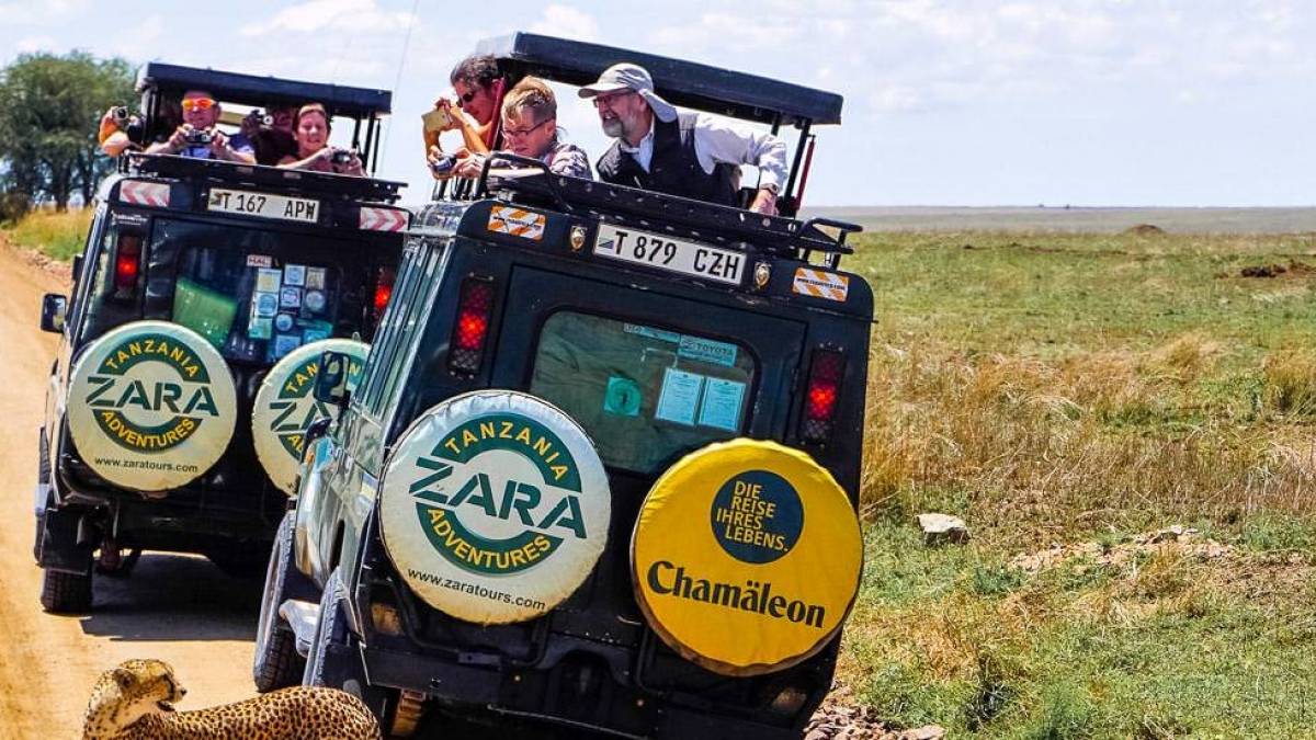 Jeep Safari | © Lena Schnabel / Chamäleon Jeep Safari | © Lena Schnabel / Chamäleon