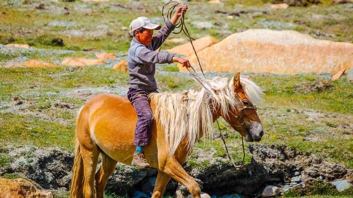 Junge auf Pony | © Tsolmon Travel / Chamäleon Junge auf Pony | © Tsolmon Travel / Chamäleon