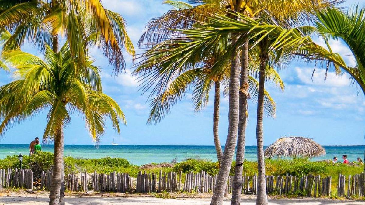 Strand Cayo Guillermo | © Susan Fleming, Pixabay / Chamäleon Strand Cayo Guillermo | © Susan Fleming, Pixabay / Chamäleon