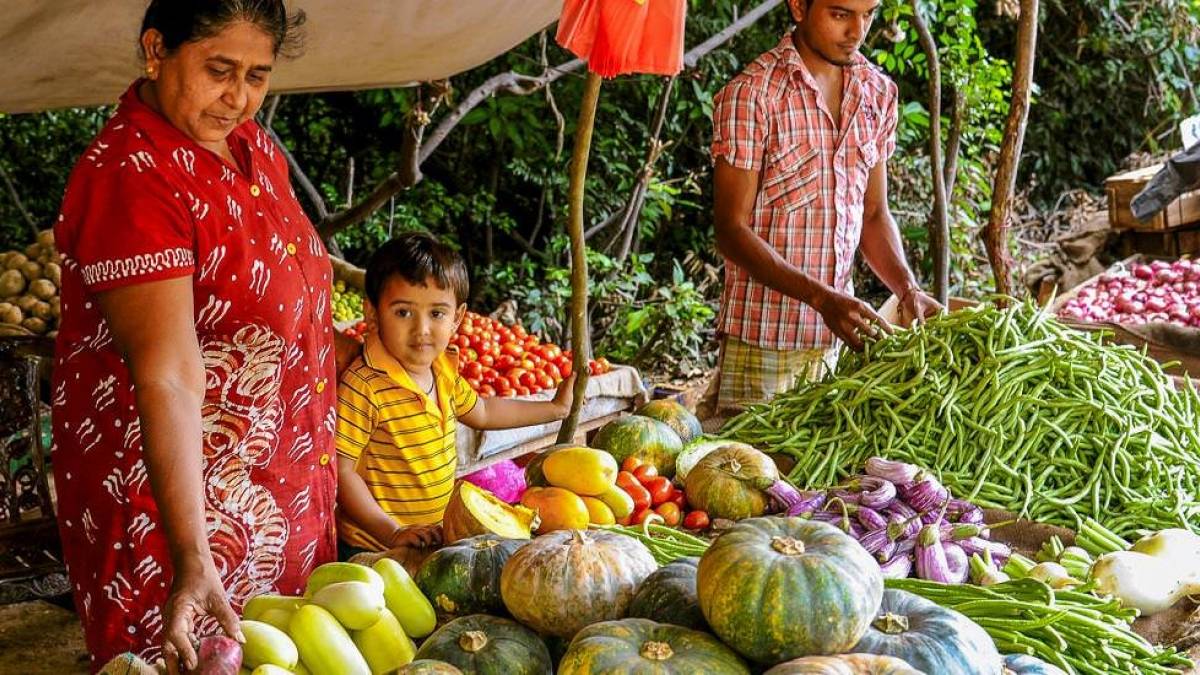 Marktstand mit Gemüse | © Udaya Wijesoma / Chamäleon Marktstand mit Gemüse | © Udaya Wijesoma / Chamäleon