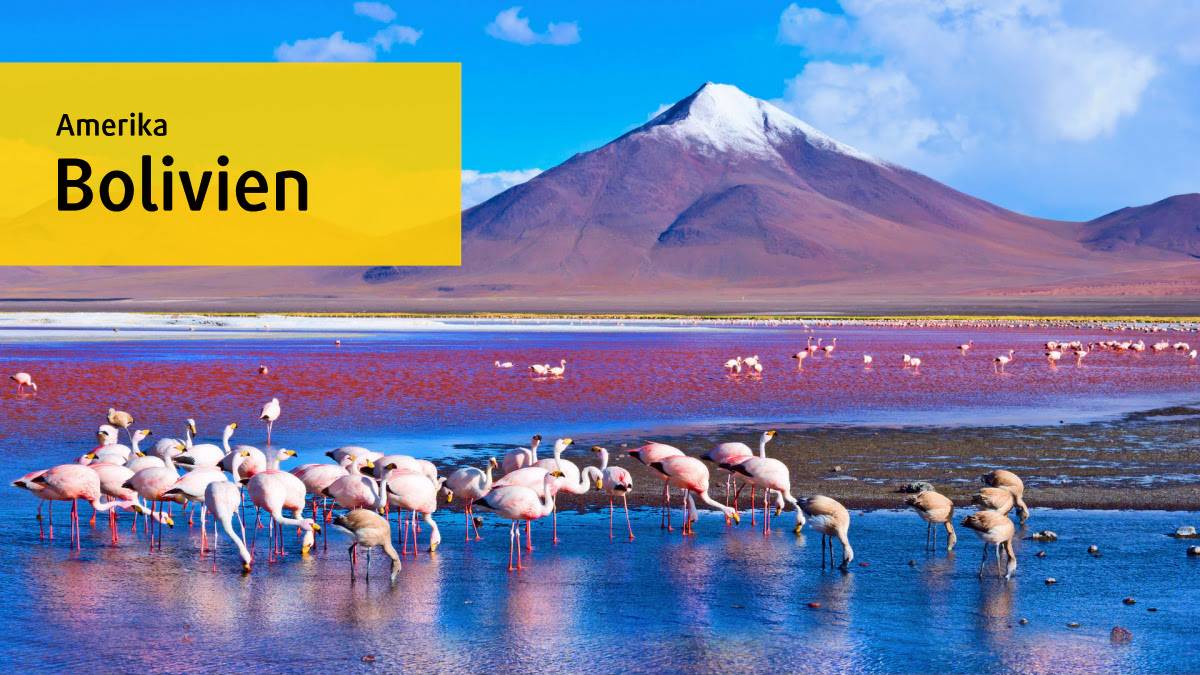 Bolivien: Trailer Bolivien: Trailer