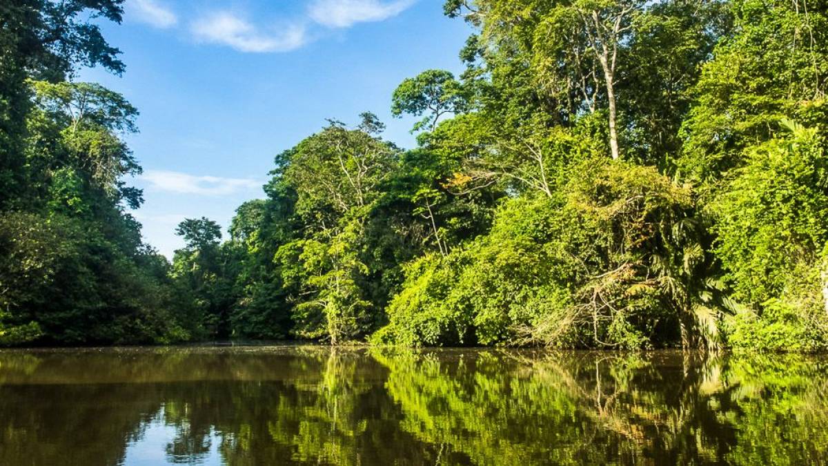 Tortuguero Nationalpark | © Hannes Schleicher / Chamäleon Tortuguero Nationalpark | © Hannes Schleicher / Chamäleon