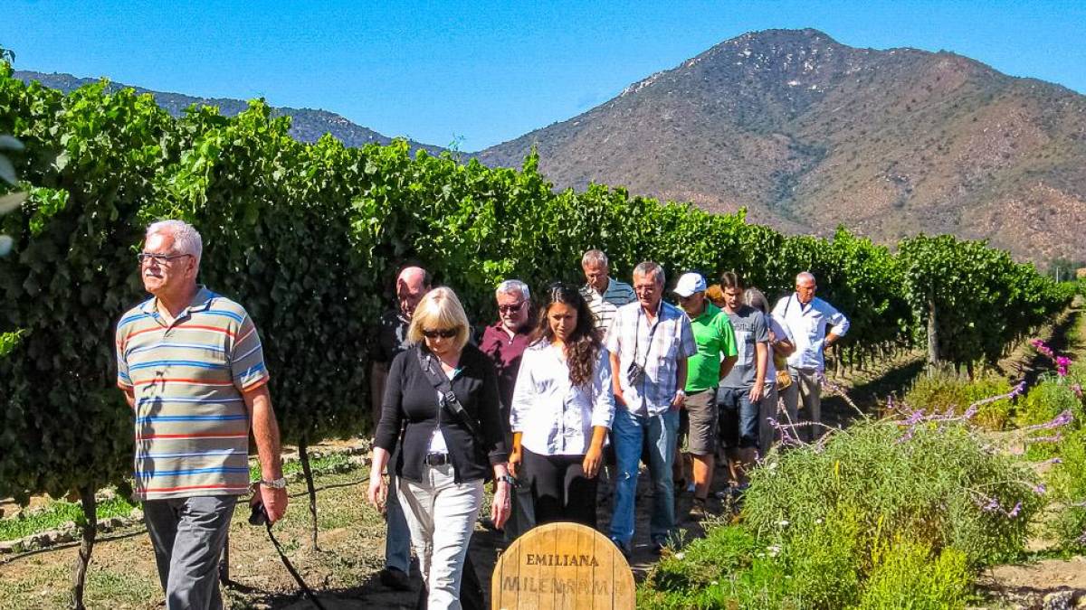 Weingut Emiliana | © TravelArt Chile / Chamäleon Weingut Emiliana | © TravelArt Chile / Chamäleon
