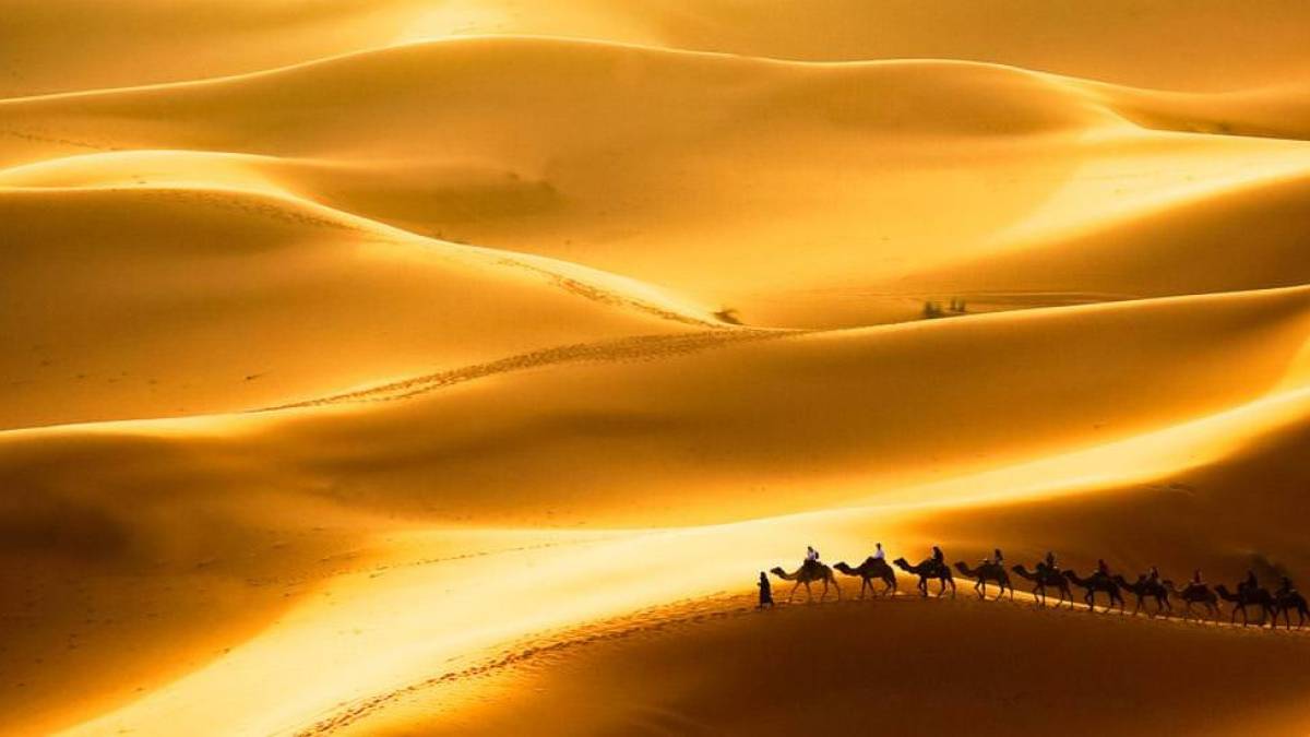 Kamelkarawane in den Sanddünen Erg Chebbi, Sahara | © Roberto Caucino, iStockphoto.com / Chamäleon Kamelkarawane in den Sanddünen Erg Chebbi, Sahara | © Roberto Caucino, iStockphoto.com / Chamäleon