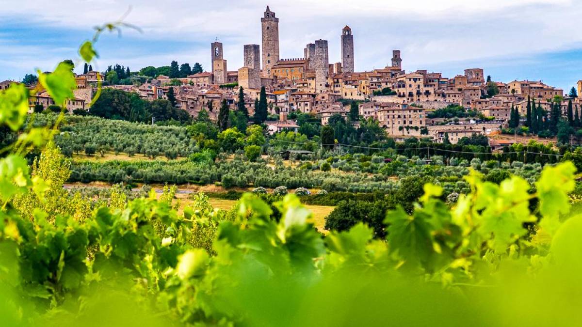 Blick über die Weinberge nach San Gimignano | © Emran Yousof, Unsplash / Chamäleon Blick über die Weinberge nach San Gimignano | © Emran Yousof, Unsplash / Chamäleon