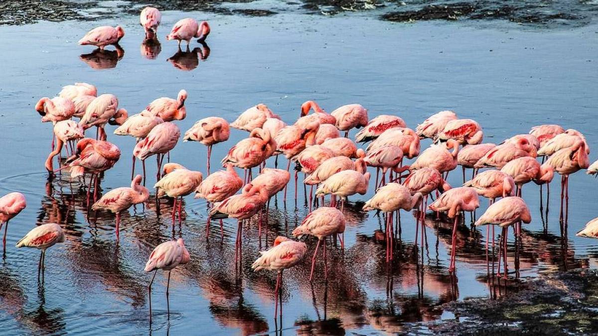 Better in pink | © Timo Beste / Chamäleon Better in pink | © Timo Beste / Chamäleon
