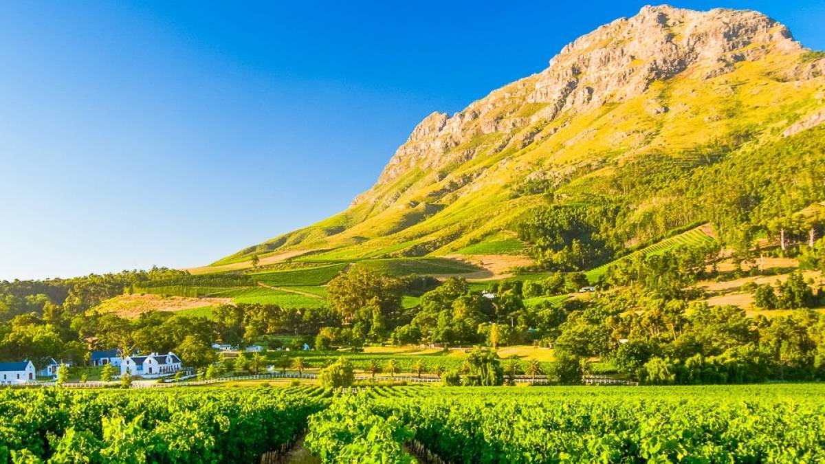 Weinanbau in Franschhoek | © Dirk Bleyer / Chamäleon Weinanbau in Franschhoek | © Dirk Bleyer / Chamäleon