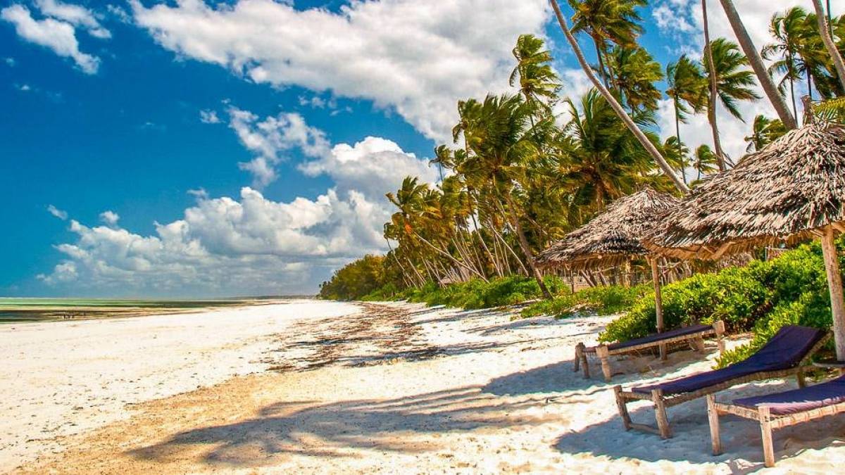 Strand auf Sansibar | © luisapuccini, iStockphoto / Chamäleon Strand auf Sansibar | © luisapuccini, iStockphoto / Chamäleon