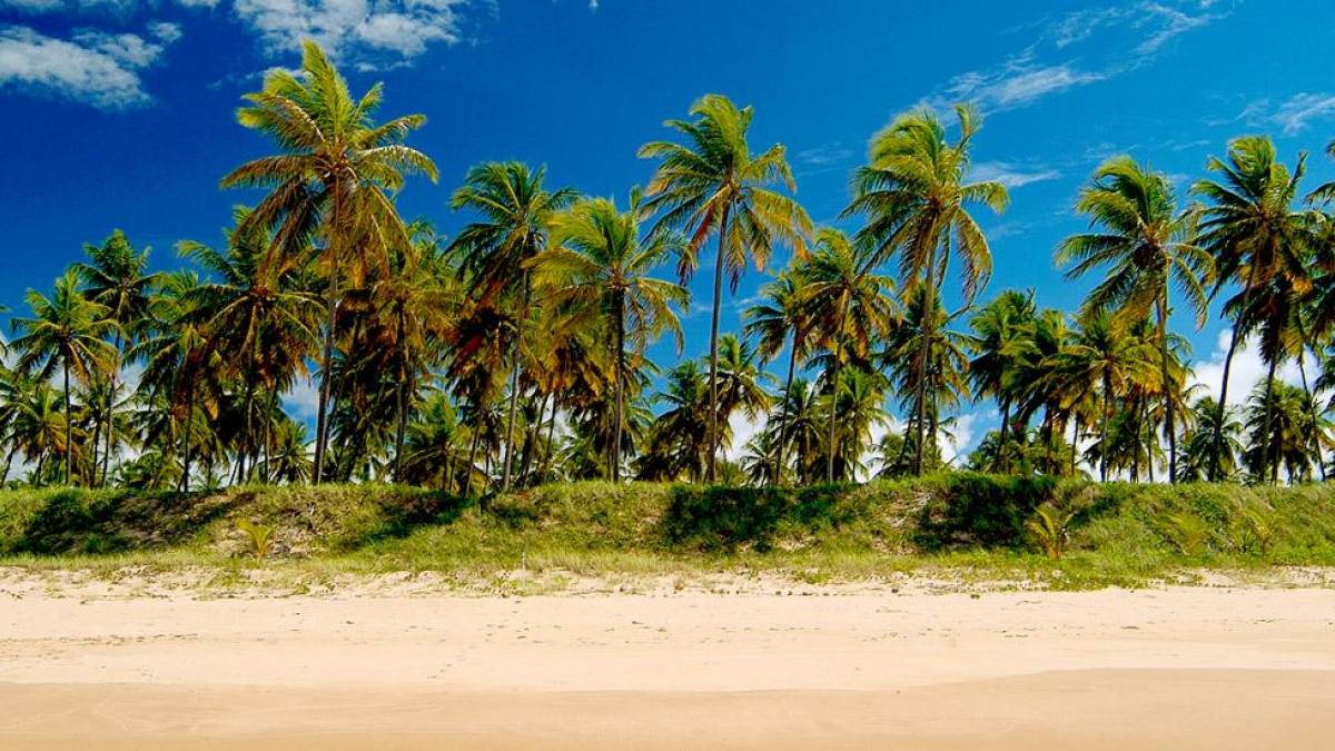 Praia Do Forte | © Chamäleon Praia Do Forte | © Chamäleon
