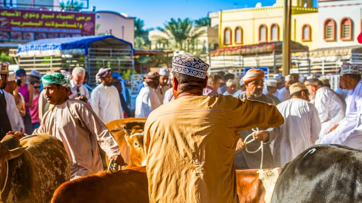 Trubel auf dem Viehmarkt von Nizwa | © Reinhard Breitenstein / Chamäleon Trubel auf dem Viehmarkt von Nizwa | © Reinhard Breitenstein / Chamäleon