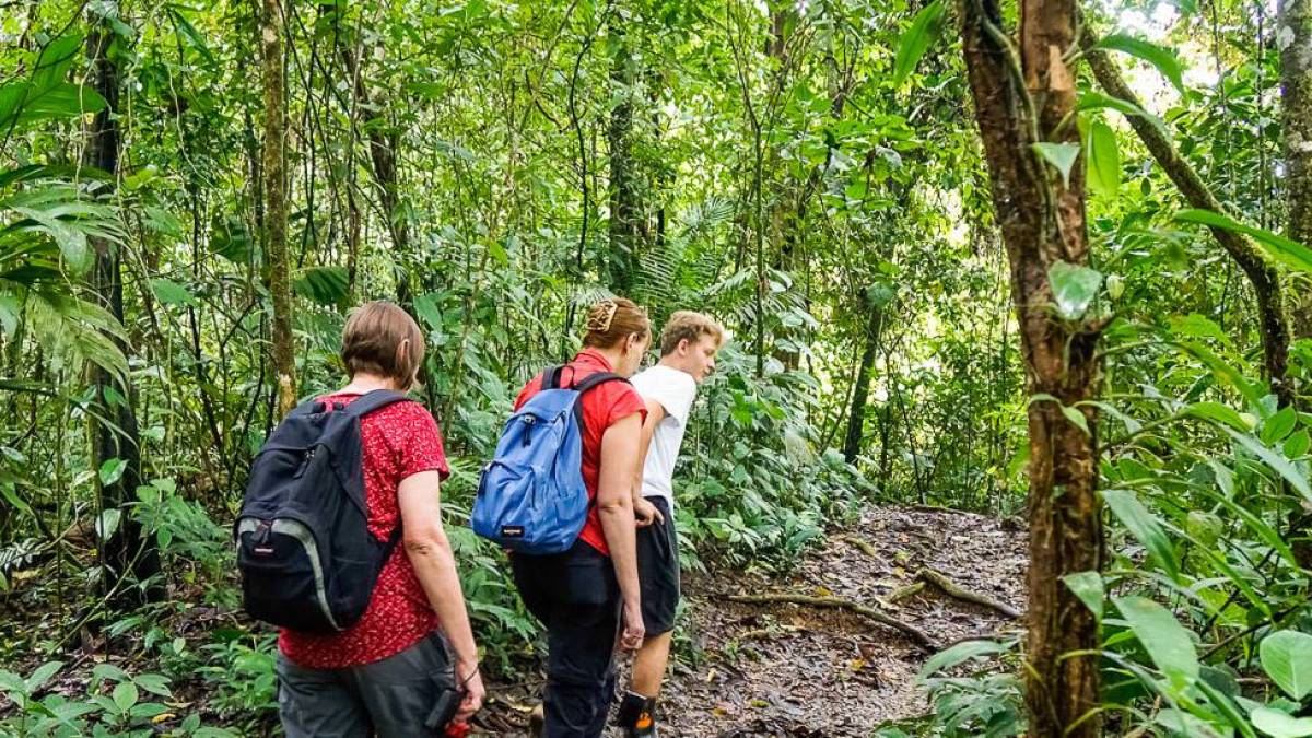 Wanderung durch den Regenwald | © Luisa Ceron / Chamäleon Wanderung durch den Regenwald | © Luisa Ceron / Chamäleon