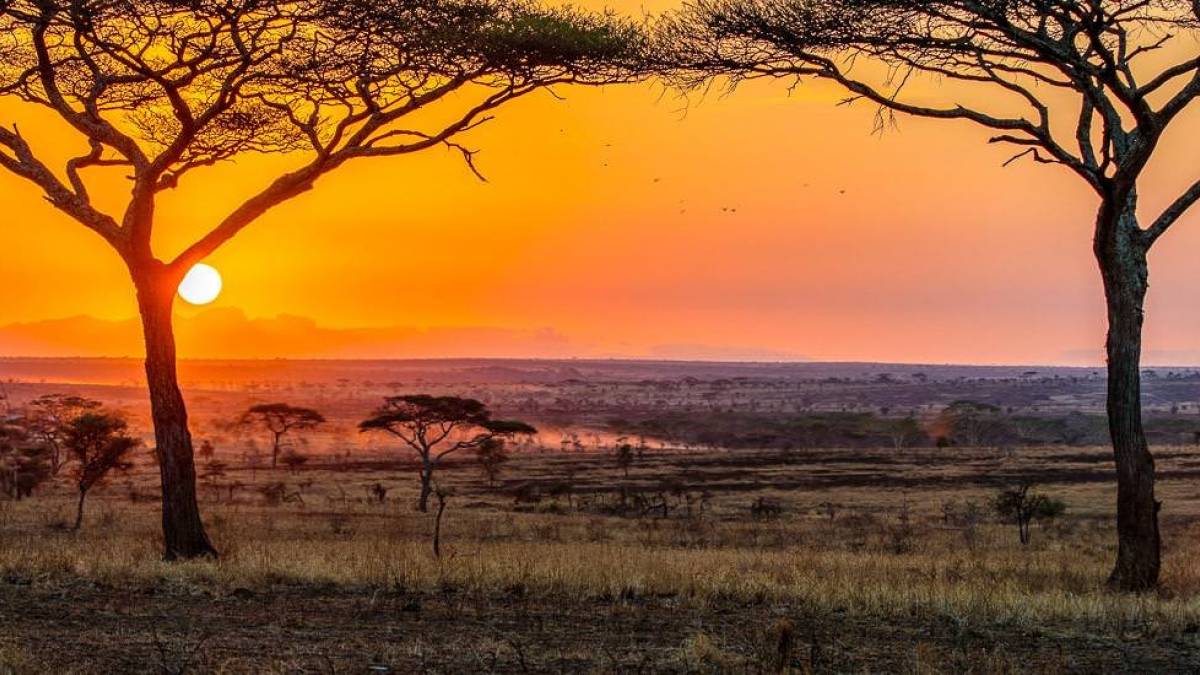 Sonnenaufgang in der Serengeti | © Sebastian Schulze / Chamäleon Sonnenaufgang in der Serengeti | © Sebastian Schulze / Chamäleon
