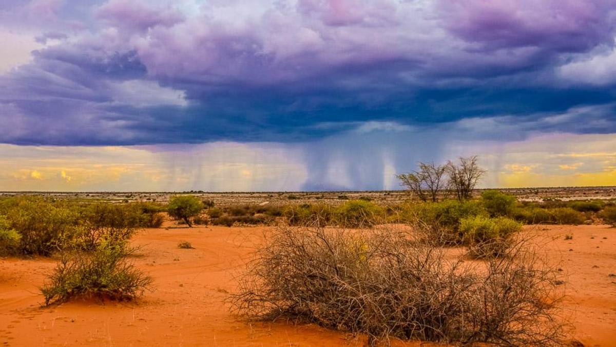 Regen in der Kalahari | © Carsten von Lüttwitz, Pack Safari / Chamäleon Regen in der Kalahari | © Carsten von Lüttwitz, Pack Safari / Chamäleon