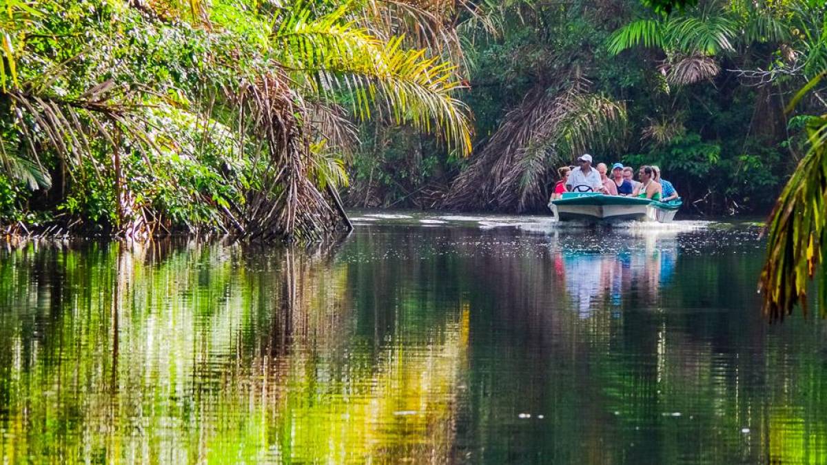 Bootsfahrt im Tortuguero-Nationalpark | © Fritz Fucik, Amadeus Travel Agency / Chamäleon Bootsfahrt im Tortuguero-Nationalpark | © Fritz Fucik, Amadeus Travel Agency / Chamäleon