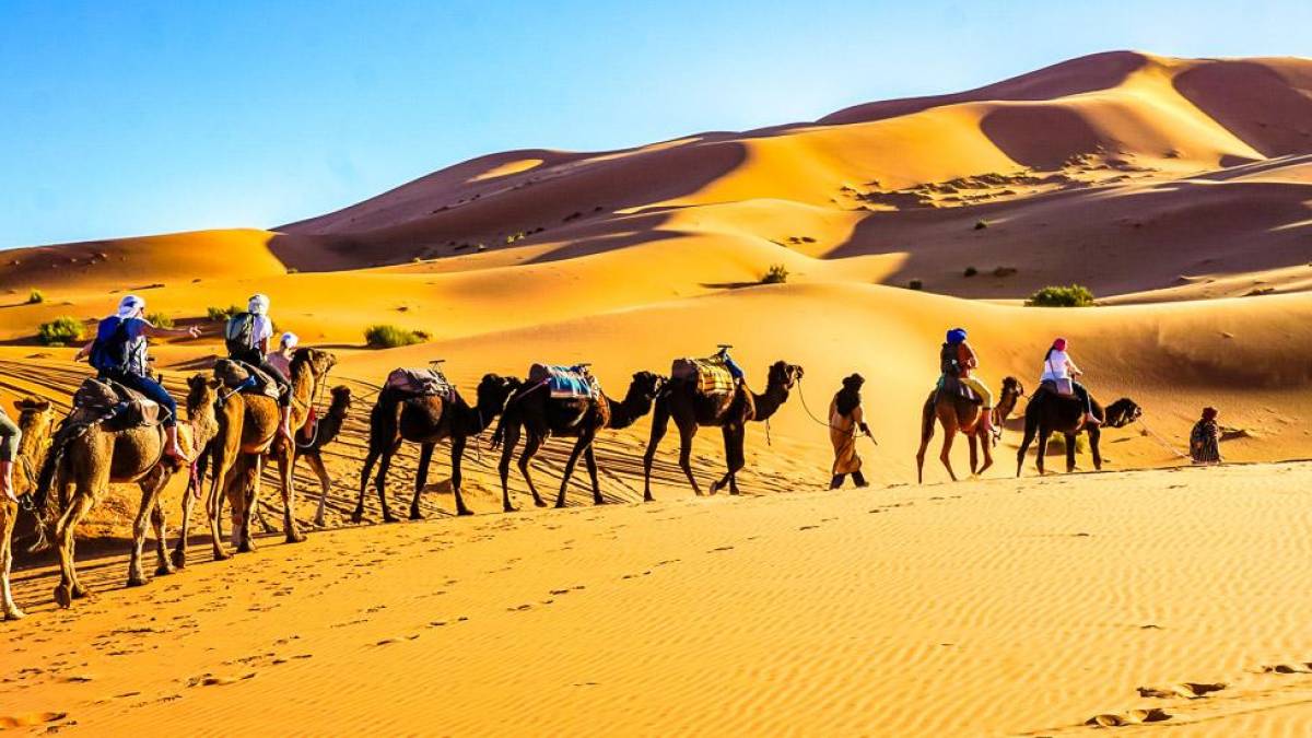 Kamelritt durch die Sandberge des Erg Chebbi | © Claudia Exner / Chamäleon Kamelritt durch die Sandberge des Erg Chebbi | © Claudia Exner / Chamäleon