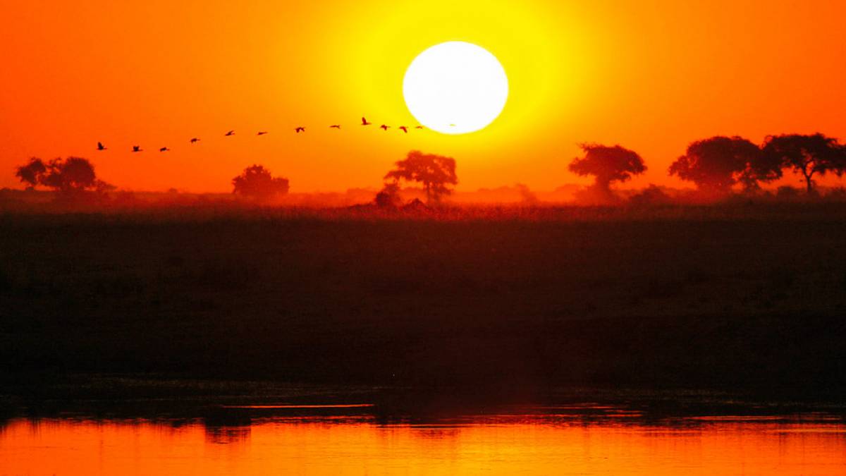 Sonnenuntergang am Chobe | © Brigitte Peters / Chamäleon Sonnenuntergang am Chobe | © Brigitte Peters / Chamäleon