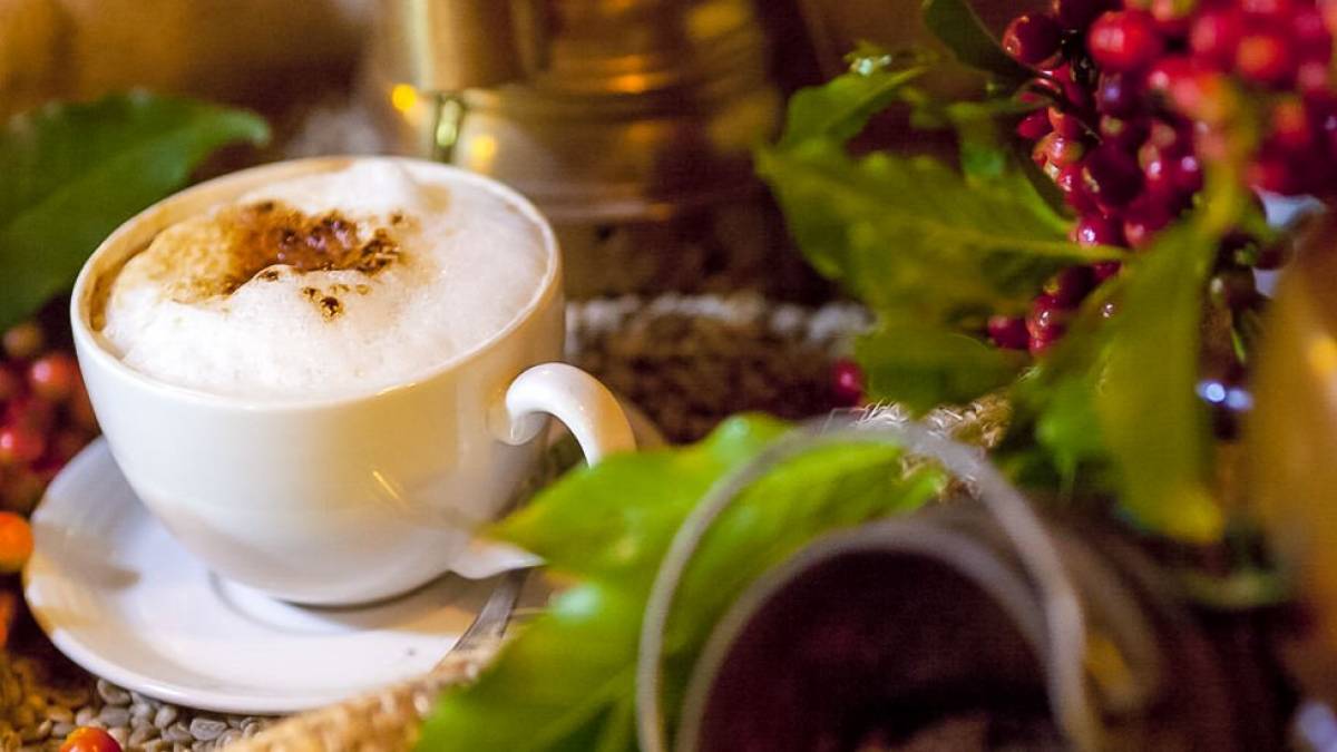 Kaffeegenuss | © Justin Mott, Arusha Coffee Lodge / Chamäleon Kaffeegenuss | © Justin Mott, Arusha Coffee Lodge / Chamäleon
