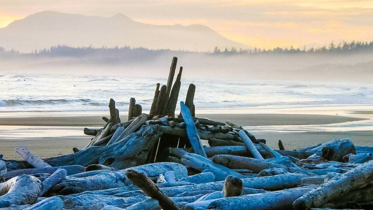 Vancouver Island | © Sylvia Wacker / Chamäleon Vancouver Island | © Sylvia Wacker / Chamäleon