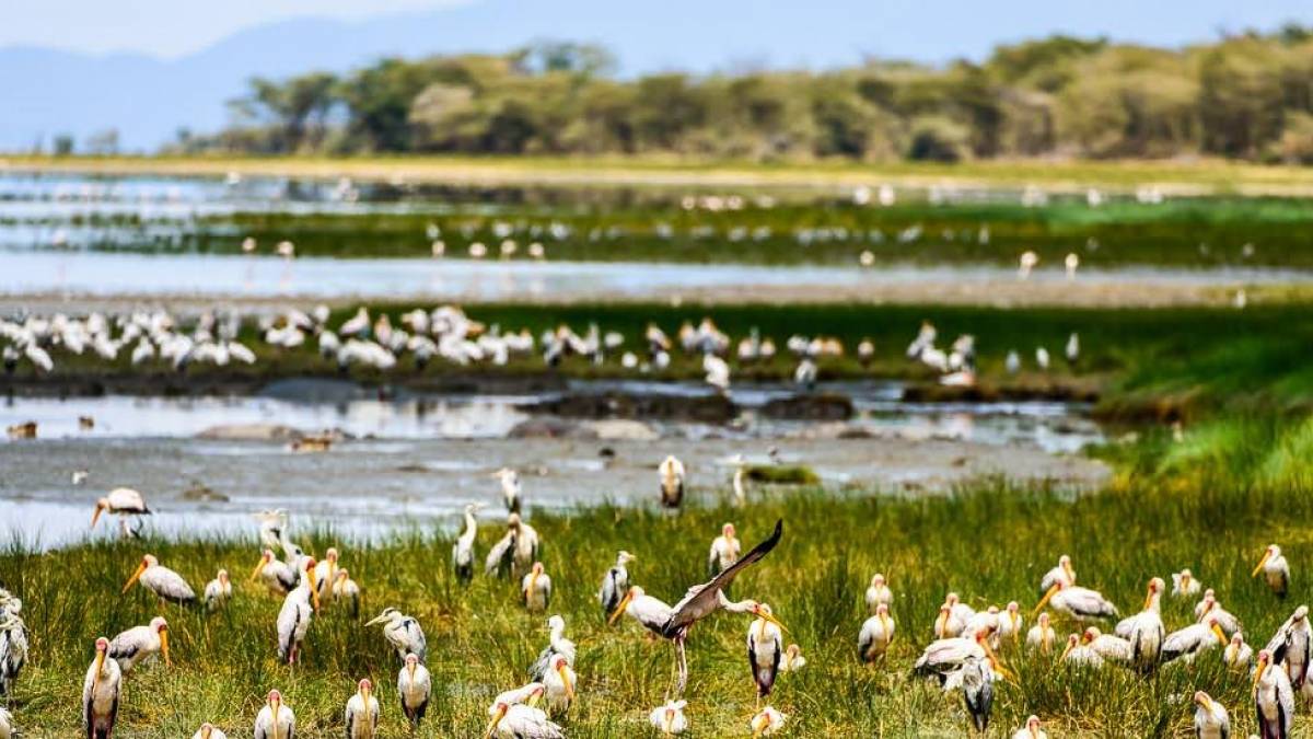 Lake Manyara | © Kai-Uwe Küchler, Art & Adventure / Chamäleon Lake Manyara | © Kai-Uwe Küchler, Art & Adventure / Chamäleon
