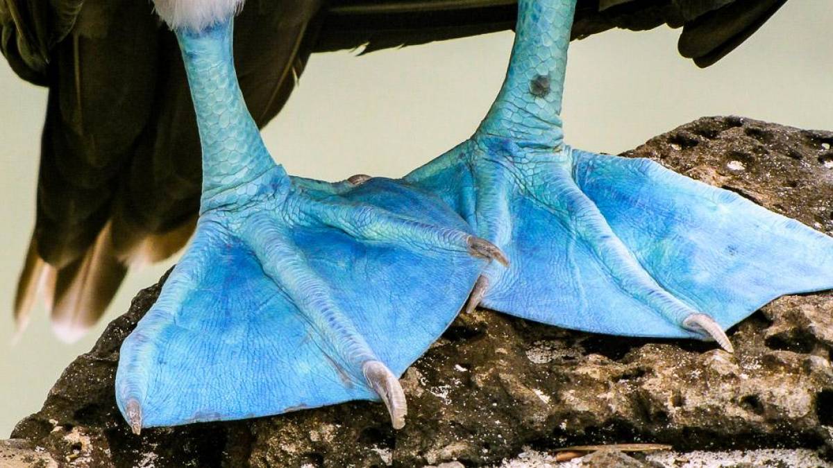 Ich sehe blau! | © Marina Bäuerlein / Chamäleon Ich sehe blau! | © Marina Bäuerlein / Chamäleon