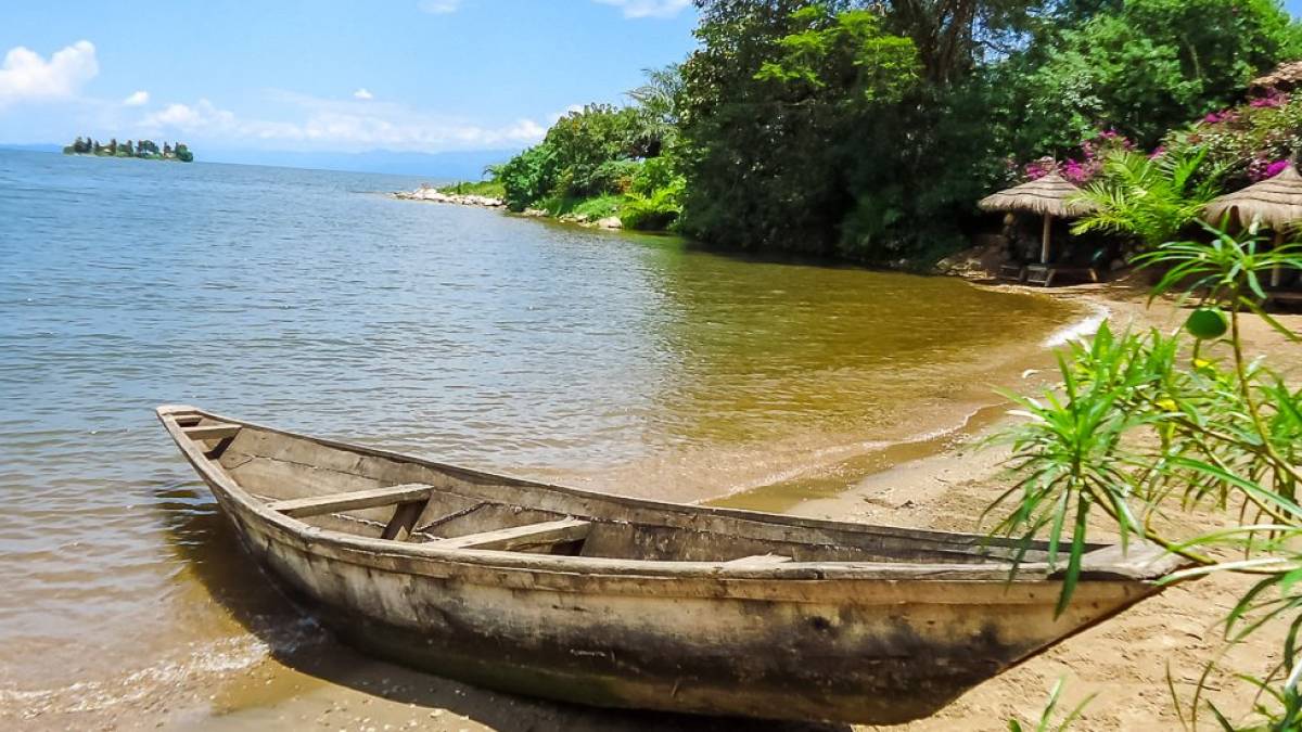 Paradis Malahide am Kivu See | © Paradis Malahide / Chamäleon Paradis Malahide am Kivu See | © Paradis Malahide / Chamäleon