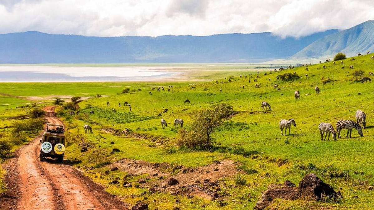 Safari im Ngorongoro-Krater | © Alexander Sass / Chamäleon Safari im Ngorongoro-Krater | © Alexander Sass / Chamäleon