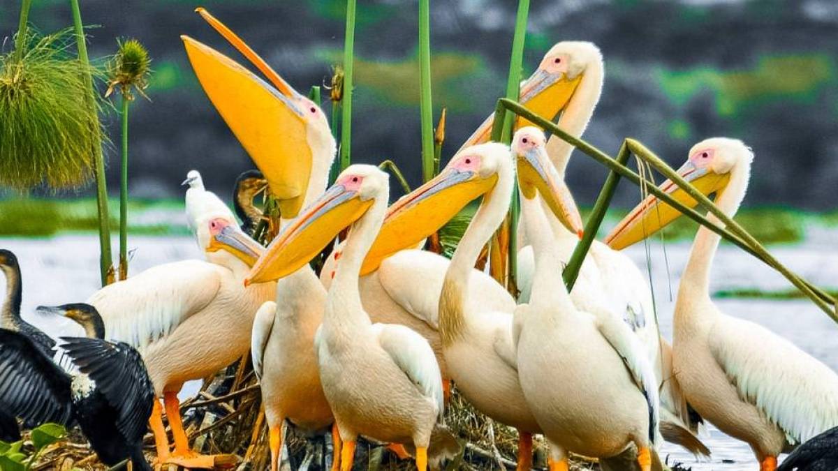 Auf einer kleinen Insel | © Christiane Geisler / Chamäleon Auf einer kleinen Insel | © Christiane Geisler / Chamäleon