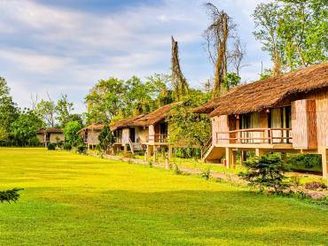 Temple Tiger Jungle Lodge |  Temple Tiger Jungle Lodge / Chamleon