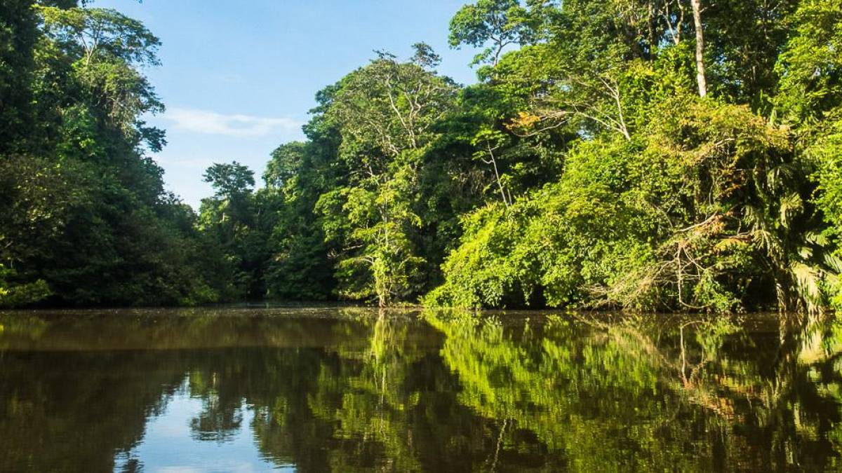 Tortuguero Nationalpark | © Hannes Schleicher / Chamäleon Tortuguero Nationalpark | © Hannes Schleicher / Chamäleon